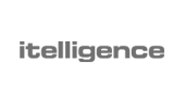 pulsar-consulting_itelligence-logo